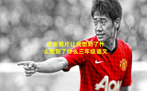 这张照片让我想到了什么想到了什么三年级语文