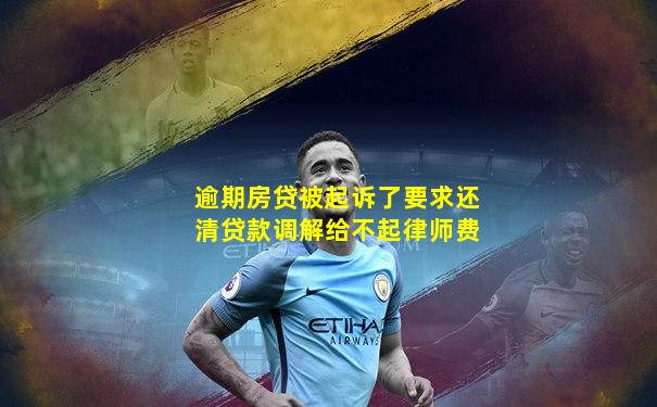 逾期房贷被起诉了要求还清贷款调解给不起律师费
