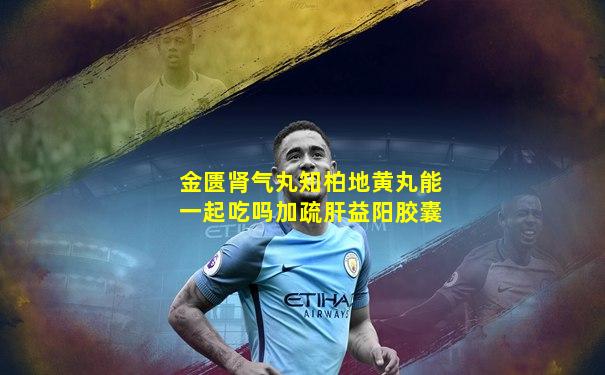 金匮肾气丸知柏地黄丸能一起吃吗加疏肝益阳胶囊