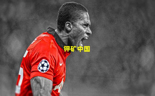钾矿中国