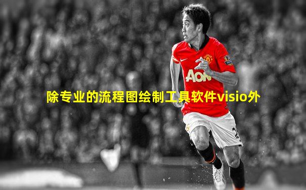 除专业的流程图绘制工具软件visio外