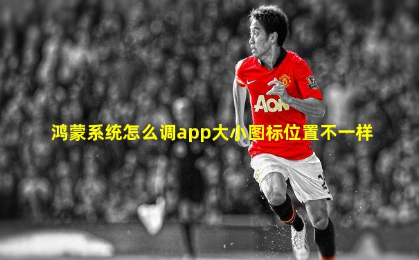 鸿蒙系统怎么调app大小图标位置不一样